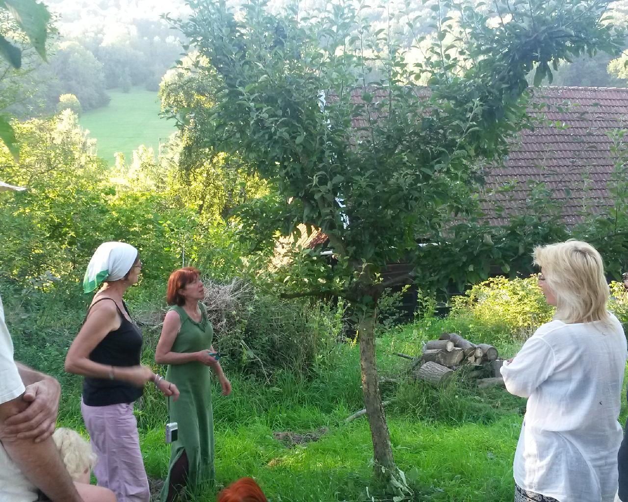Letní škola permakultury - design jedlé lesní zahrady - letní řez ovocných stromů v praxi s Janou Kotoučkovou